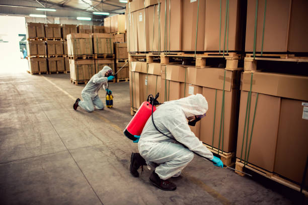Best Pest Inspection Near Me  in Grayvle, IL