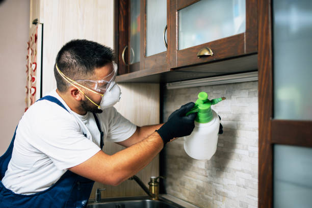 Best Commercial Pest Control Services  in Grayvle, IL