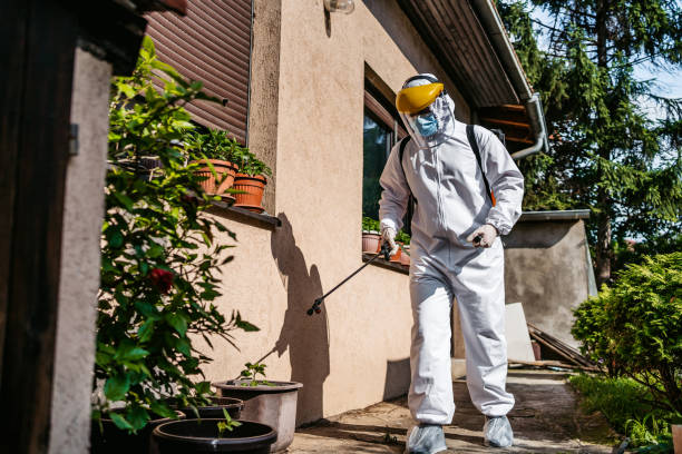 Best Affordable Pest Control Services  in Grayvle, IL