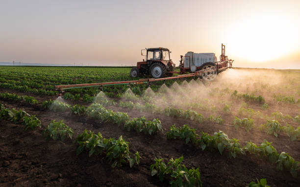 Best Mosquito Control Services  in Grayvle, IL