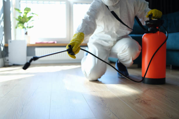 Best Cockroach Control Services  in Grayvle, IL