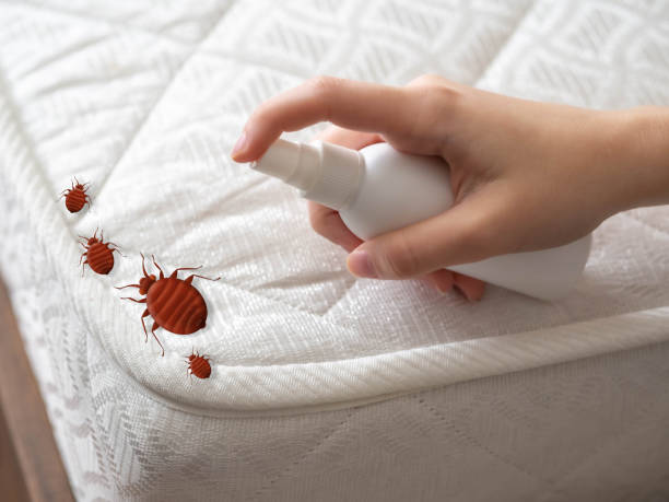 Best Pest Inspection Near Me  in Grayvle, IL