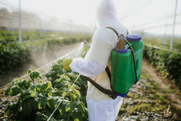 Best Wildlife Control Services  in Grayvle, IL